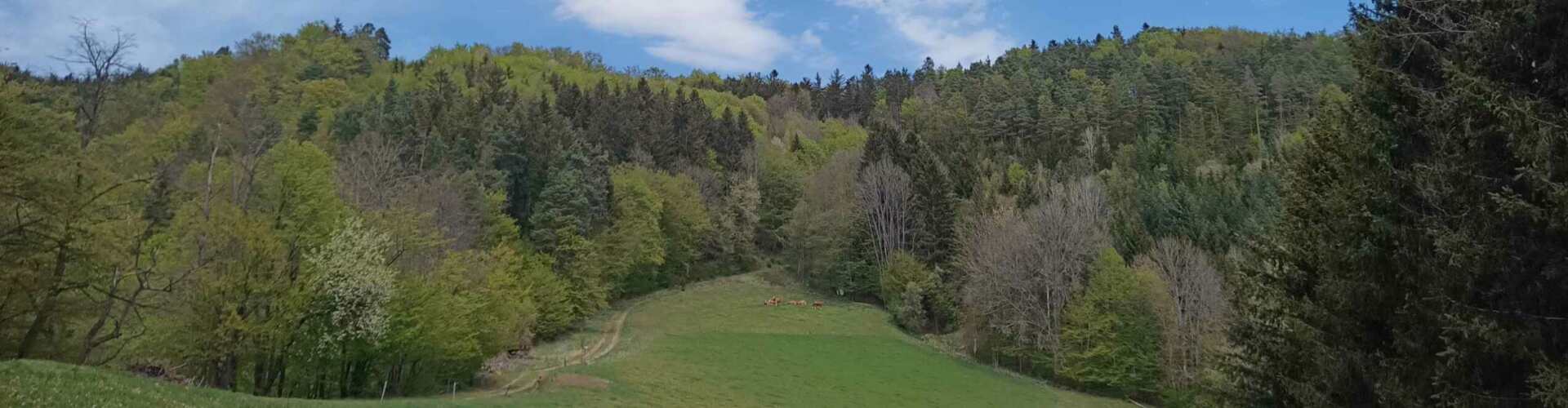 Berglandschaft mit Bäumen und Kühen in der Ferne